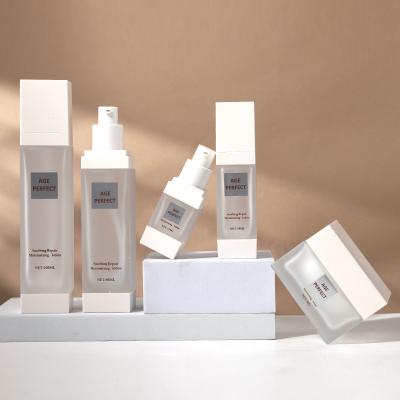ensemble de flacons de soins de la peau carrés en verre mat